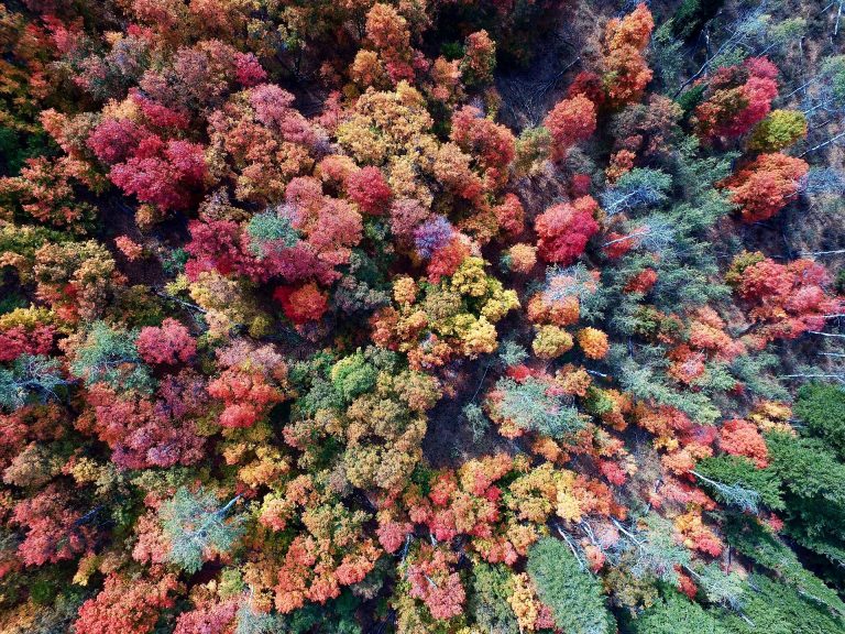 Look at aerial photography online 3