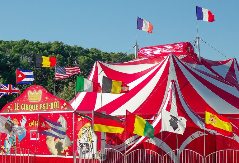 Go to a circus 2