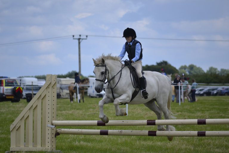 Learn to horse jump 2
