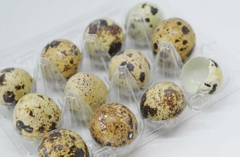 Try a new type of eggs 2