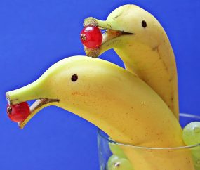 Amusing Funny Bananas Dolphins Ideas