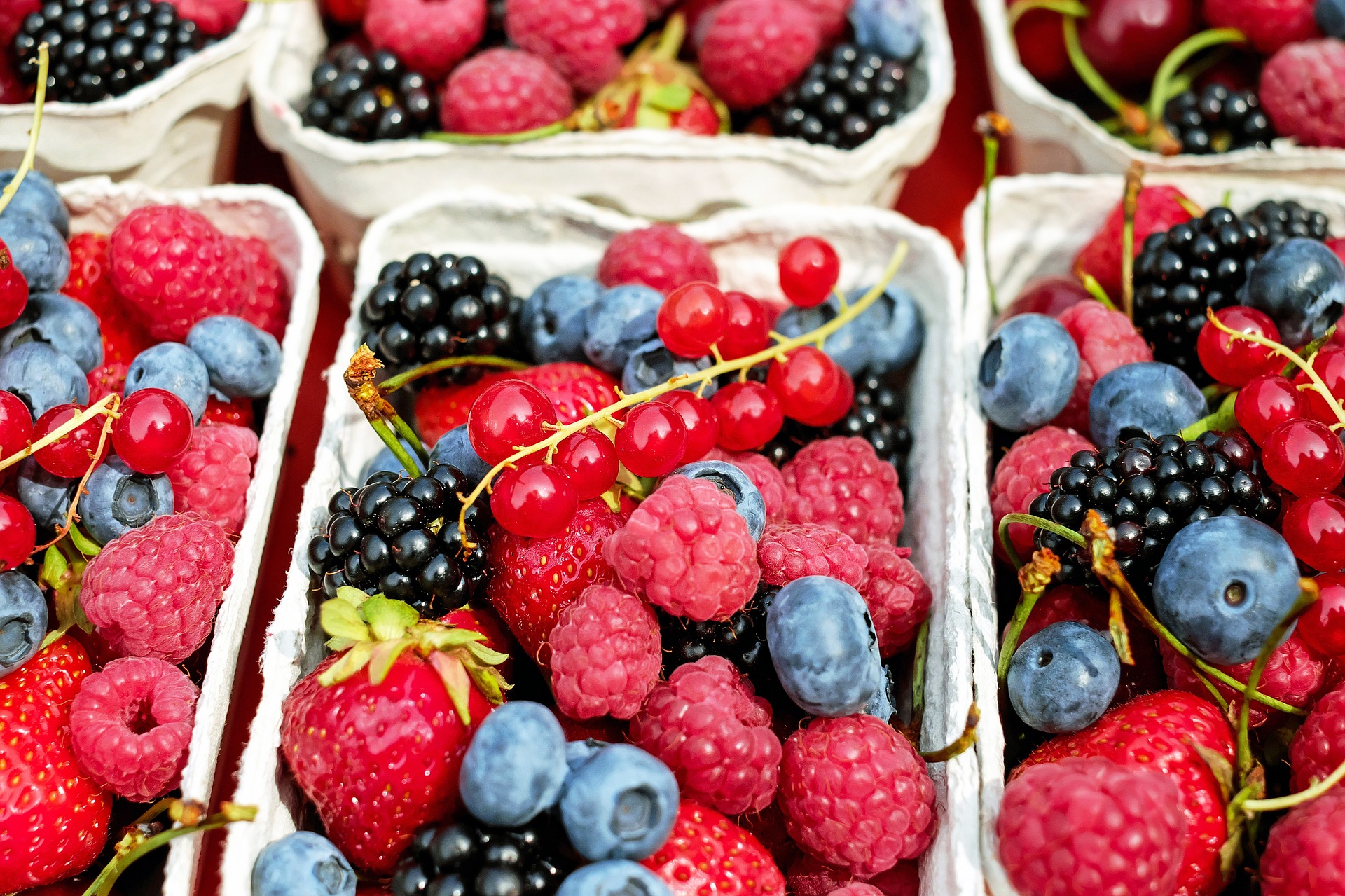 Health Fitness Super Foods Berries
