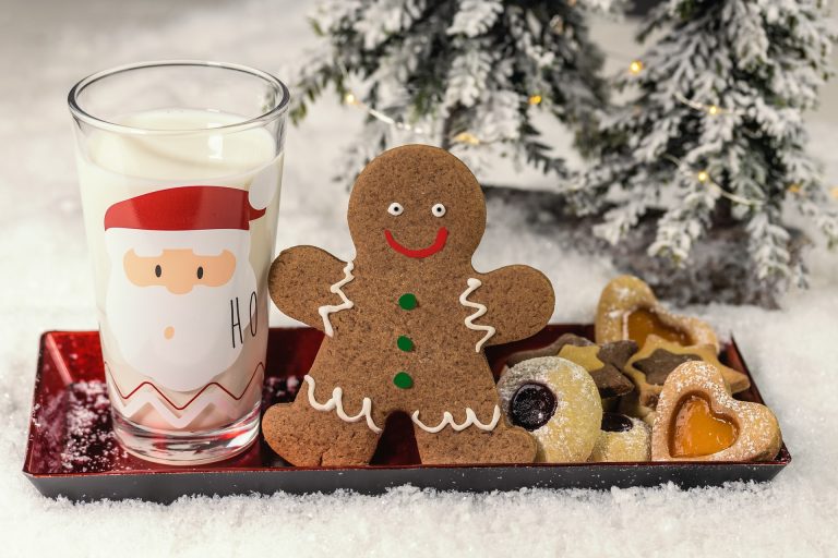 Gingerbread Man with Milk and Cookies for Santa