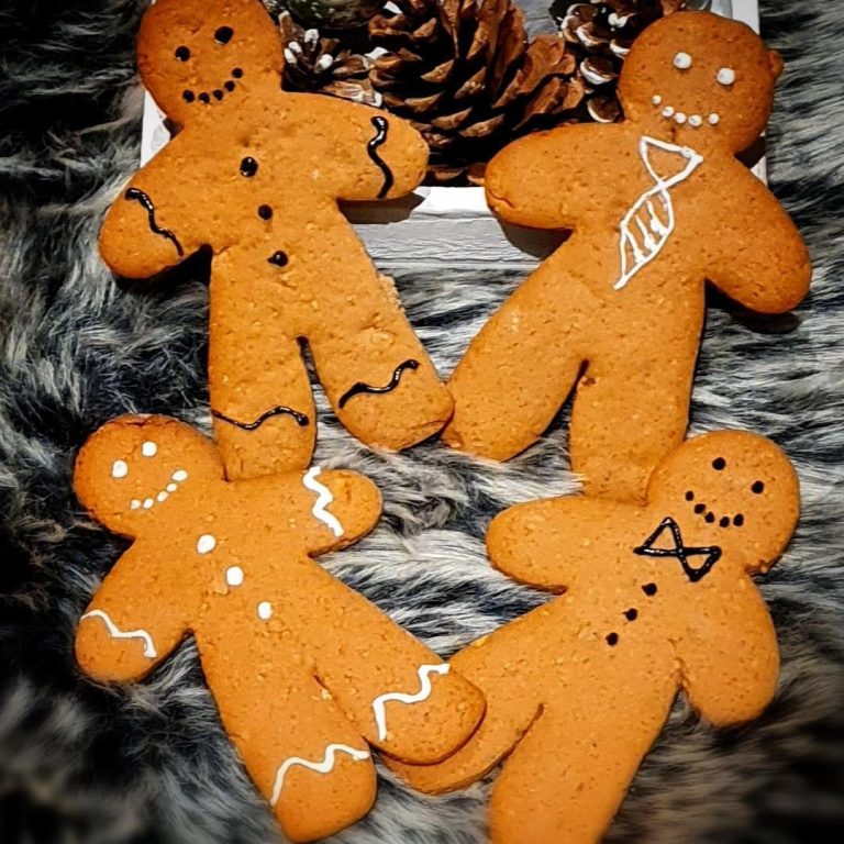 Gingerbread Man with icing decorations