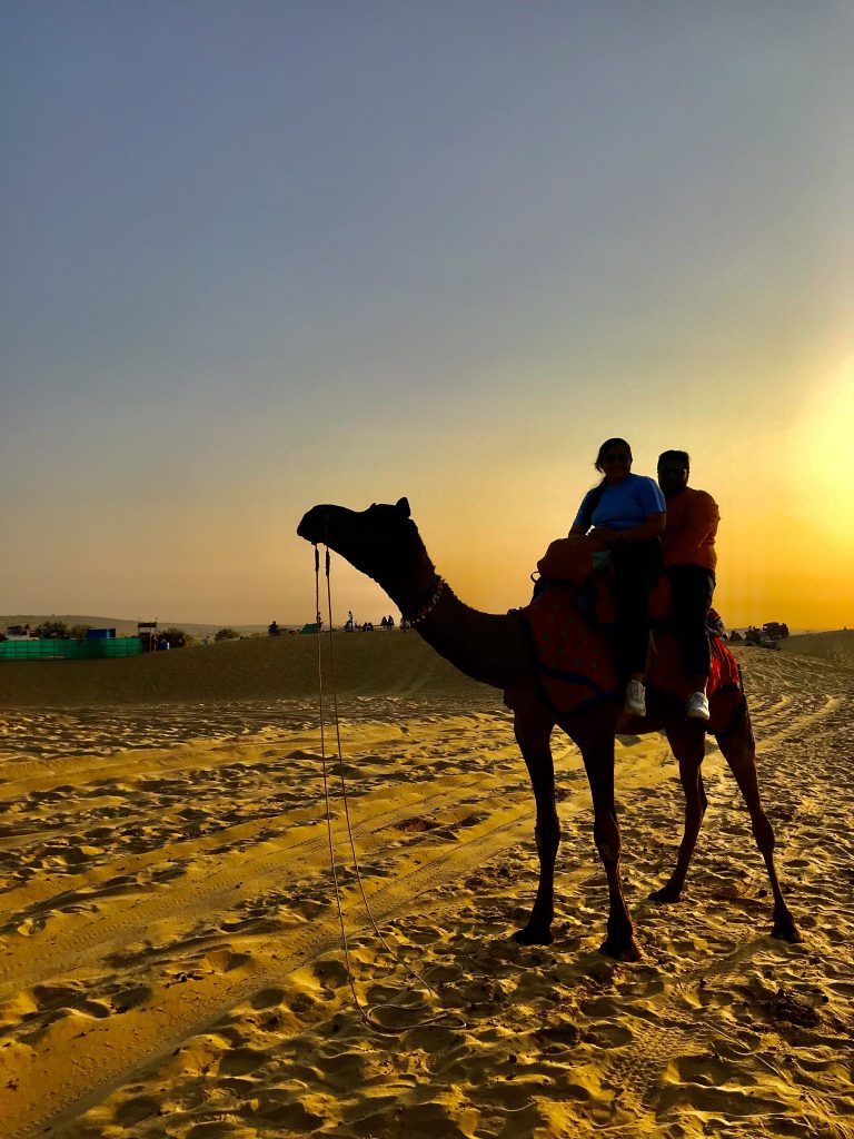 Camel Safari Desert India