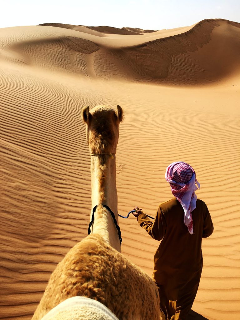 Camel Safari Desert