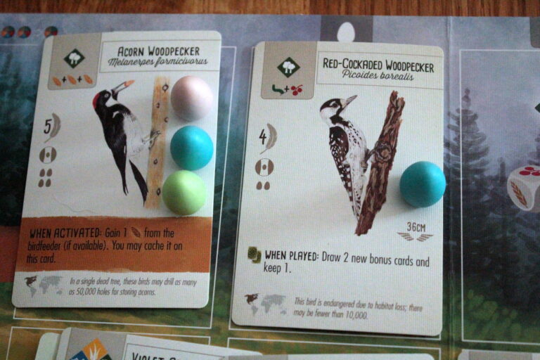 Wingspan Board Game Bird Cards