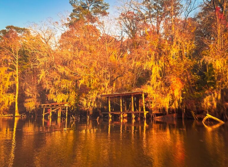 Caddo Lake texas sunset dock