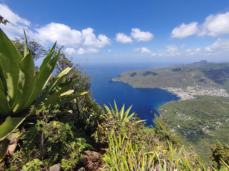 View from the Petit Piton Peak in St. Lucia
