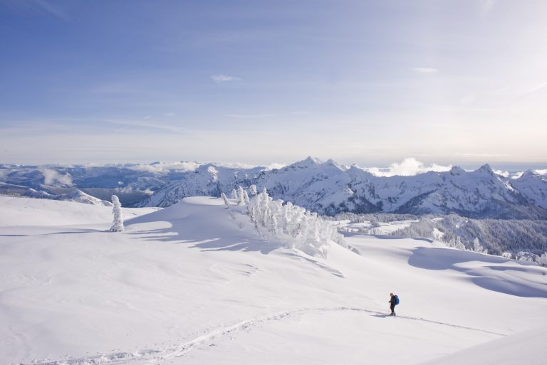 Mt. Rainier Skyline Trail Snow