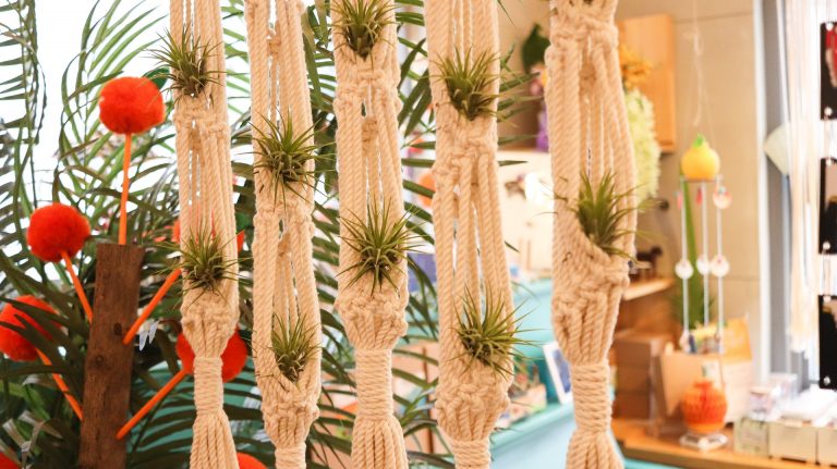 Hanging Plants In The Air