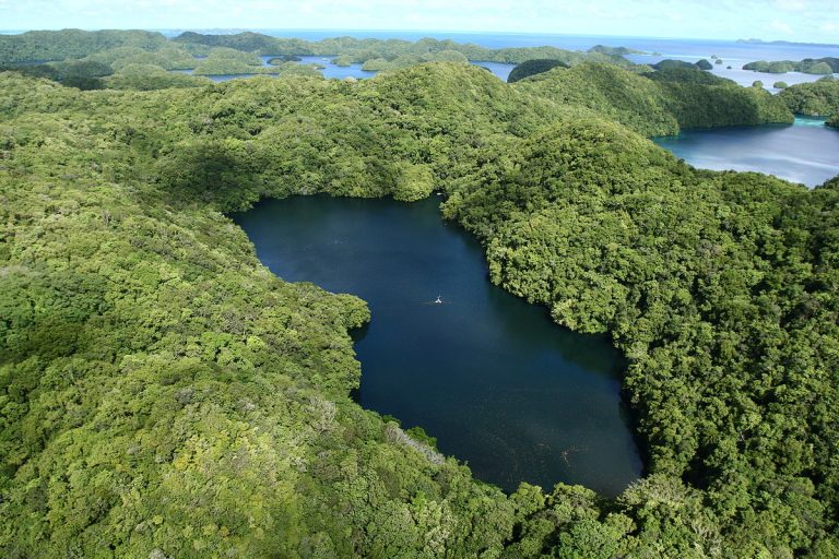 Jellyfish Lake on Eil Malk Island, Palau.
