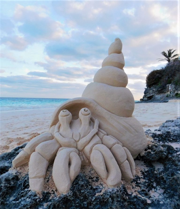 Hermit Crab Sand Sculpture on the beach on the beach