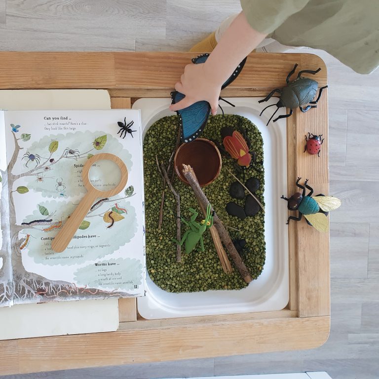 Insect Themed Sensory Bin with Book