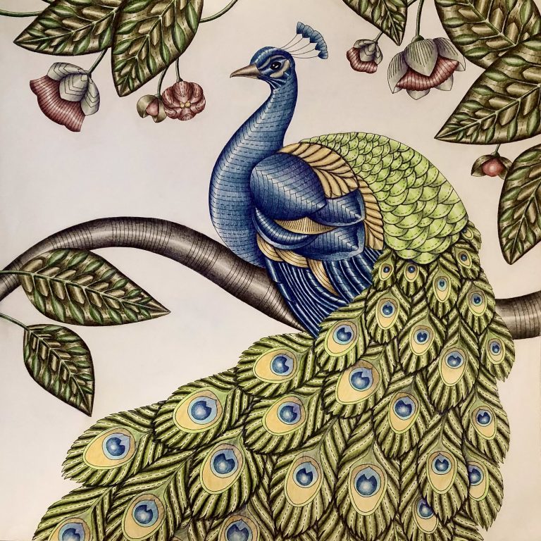 Indian Peafowl from Millie Marotta’s book, Woodland Wild. Coloured using polychromos.