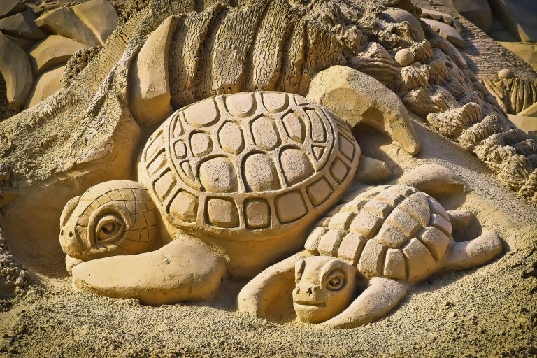 Turtles carved from sand